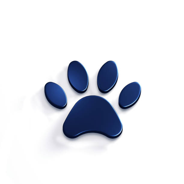 istock Paw Pet Blue Color. 3D Render Illustration 941940160
