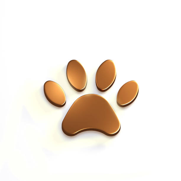 istock Paw Pet Bronze Color. 3D Render Illustration 941940178