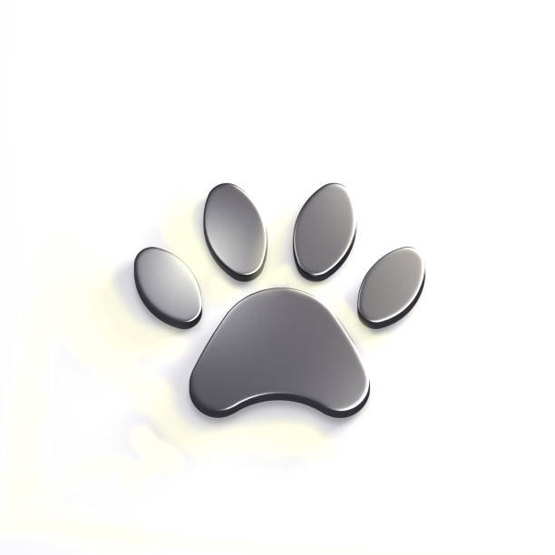 istock Paw Pet Silver Color. 3D Render Illustration 941940192