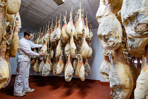 Carnicero maestro artesano comprobar estado de curación de un jamón es natural secado photo