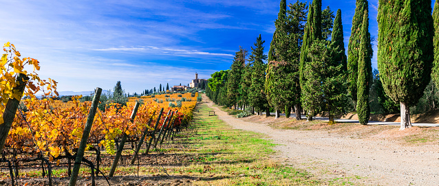 amazing pictorial countryside of Tuscany with autumn vineyards