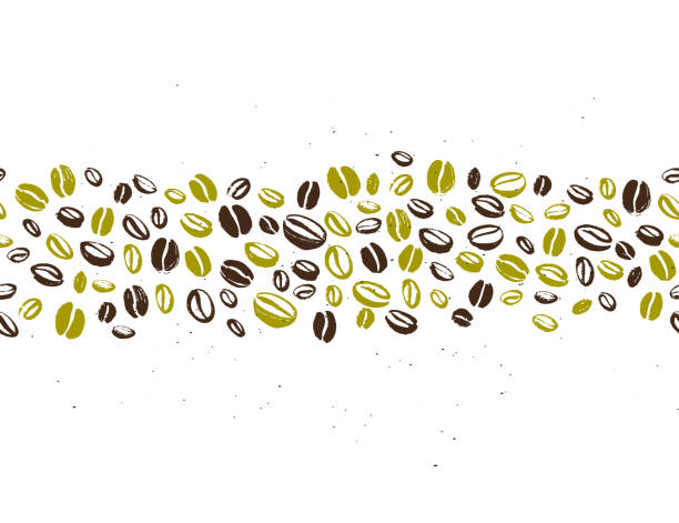 vektor-nahtlose kaffee hintergrund design mit hand gezeichneten kaffeebohnen auf weißem hintergrund isoliert. - coffee beans stock-grafiken, -clipart, -cartoons und -symbole