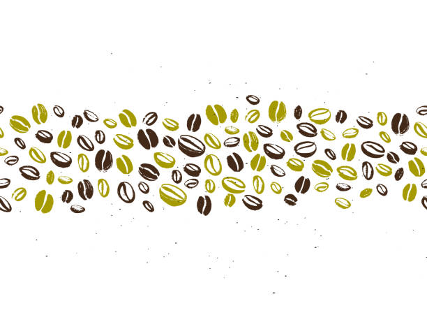 ilustraciones, imágenes clip art, dibujos animados e iconos de stock de vector diseño transparente fondo café con mano dibujada café aislado sobre fondo blanco. - coffee beans