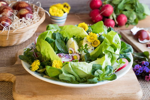 Spring salad with lettuce, corn salad, radishes, eggs and wild edible plants - coltsfoot, daisy, lungwort flowers, chickweed, young dandelion leaves