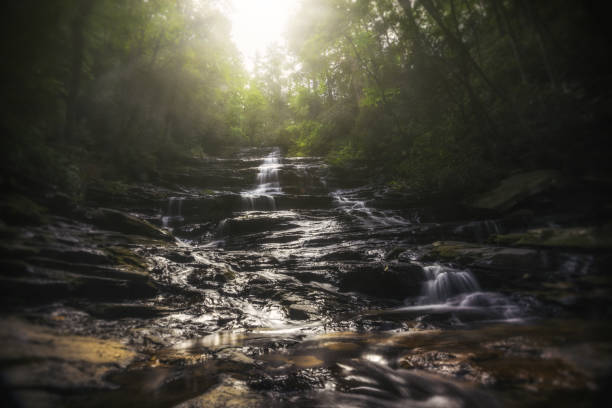 Beautiful Waterfall in North Georgia