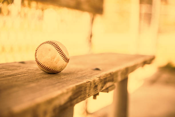 бейсбольный сезон здесь.  выветрив мяч на скамейке блиндажа. - baseball baseballs spring training professional sport стоковые фото и изображения
