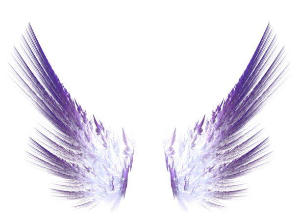 ilustraciones, imágenes clip art, dibujos animados e iconos de stock de alas púrpura fractal sobre fondo blanco aislada - alas angel