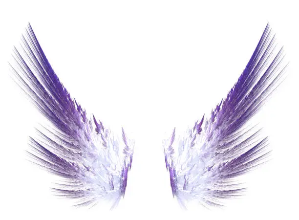 Vector illustration of Fractal purple wings on white isolated background