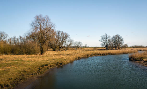 istock Meandering creek in a nature reserve 941972766