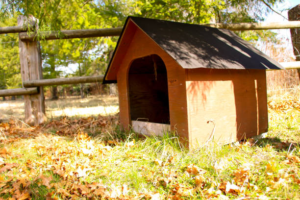 Dog house, farm, solitude, dog, field.