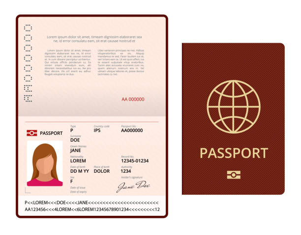 illustrazioni stock, clip art, cartoni animati e icone di tendenza di modello di passaporto aperto vector blank. passaporto internazionale con pagina di dati personali di esempio. documento per viaggi e immigrazione. illustrazione vettoriale isolata. - passaporto