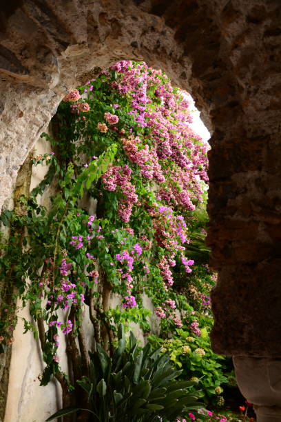 istock Amalfi Coast, Italy 942008554