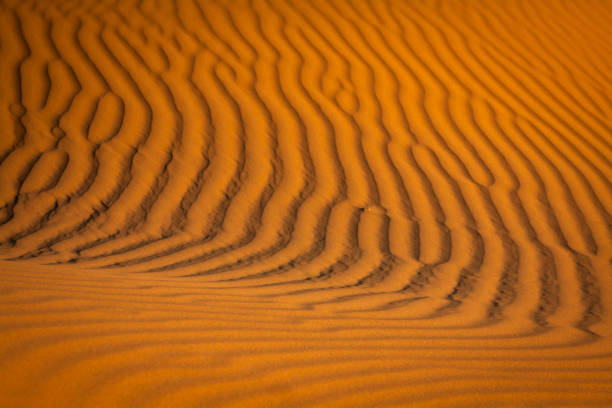 istock Desert dune at Erg Chebbi near Merzouga in Morocco. 942016526