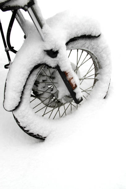 Vancouver during a midwinter snowstorm