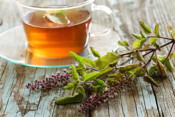 istock Tulsi Tea served in a cup with fresh leaves on the side, selective focus 942116452