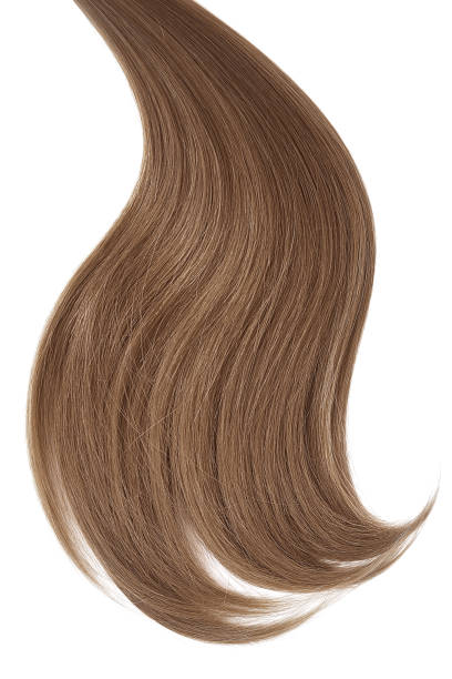 istock Curl of natural hair on a white background 942117288