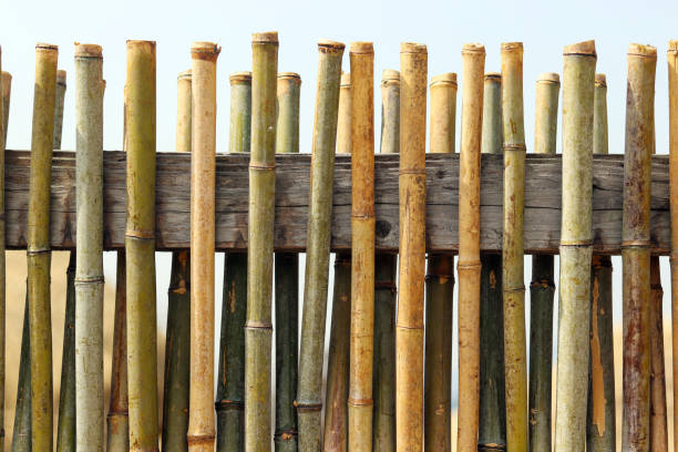 istock An old fashioned door woven from bamboo. 942118484