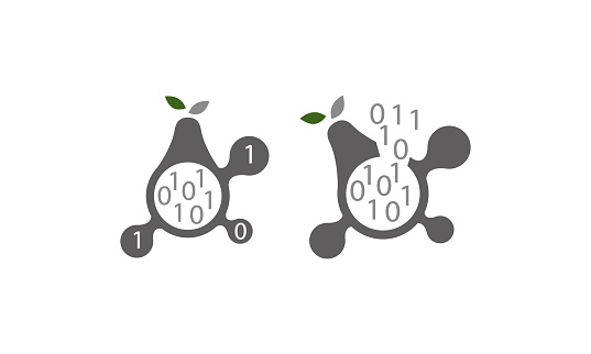 Pear Code Pear Program Code Connection Set Stock Illustration - Download Image ...