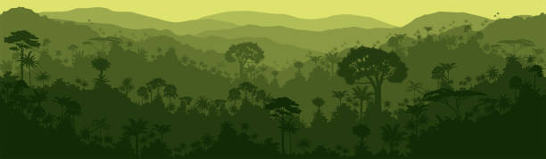 vektor horizontale nahtlose tropischen regenwald-dschungel hintergrund - amazonia stock-grafiken, -clipart, -cartoons und -symbole