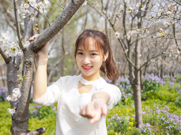 al aire libre retrato de bella joven china sonriendo entre brunch del árbol de flor de cerezo en el jardín de primavera, belleza, verano, emoción, expresión y concepto de la gente. - ponytail brown hair tourist women fotografías e imágenes de stock