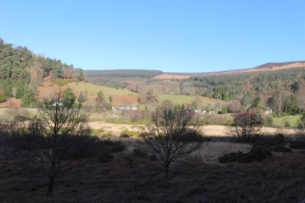 istock landscape through the Wicklow Mountains 942126000