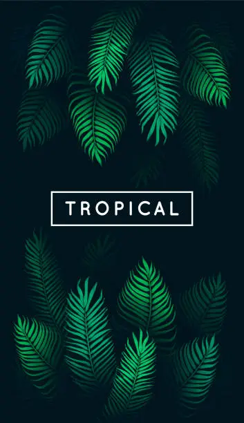 Vector illustration of Tropical leaves. Exotic tree foliage. Green palm tree vector leaf and text on black background. Jungle theme design template for banner or poster. Vintage style frame. EPS 10.