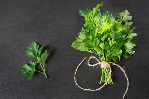 istock Fresh green parsley in bunch on black slate background. 942128136