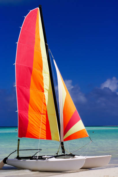 istock Bright and Colorful Catamaran on the beach 942128696