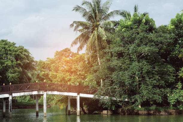 istock Wood bridge in the forest./Wood bridge. 942130810