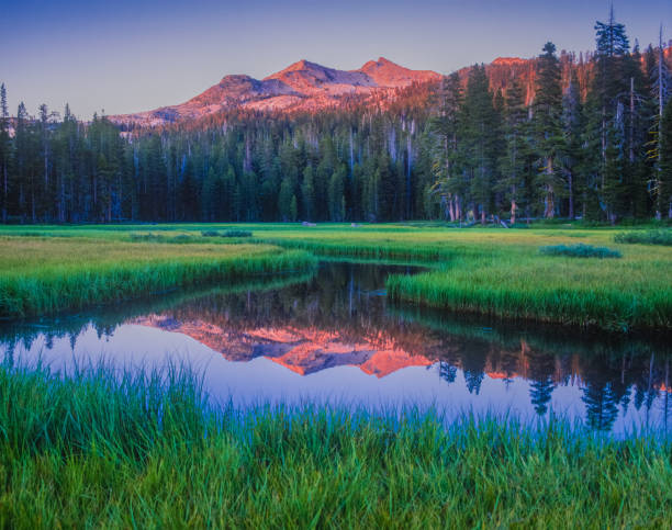 Early morning on Wrights Lake, near Lake Tahoe, California near Lake Tahoe, serene destination, early morning on the lake, refreshing, fresh start, calm water eldorado national forest stock pictures, royalty-free photos & images