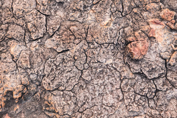 sandstone rock texture, northern territory, australia - kakadu national park national park northern territory kakadu imagens e fotografias de stock