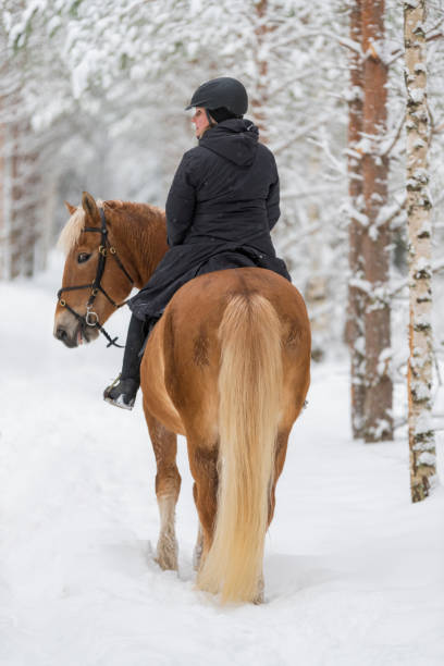 istock Woman horseback riding in forest in winter 942132364
