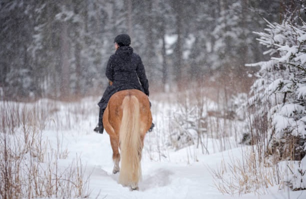 istock Woman horseback riding in forest in winter 942132776