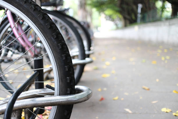 istock Fallen autumn leaves with bikes on road in sunny morning. 942132884