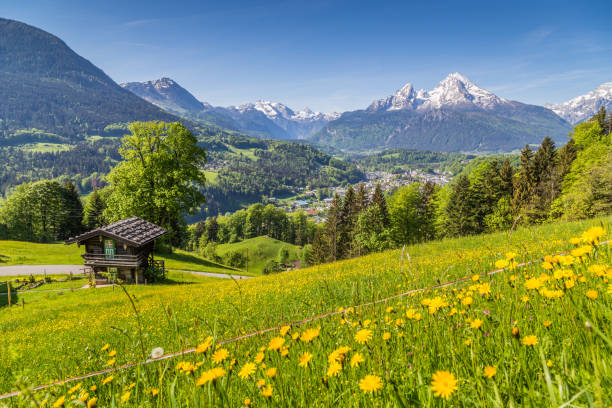 istock Alpine scenery with traditional mountain chalet in summer 942140186