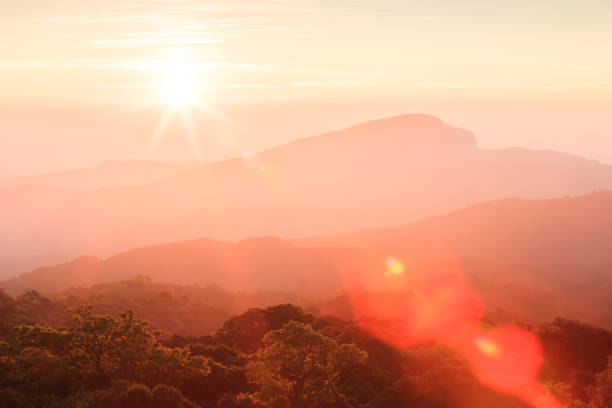 istock Golden sunrise shines down around the mountain and top canopy. 942142030