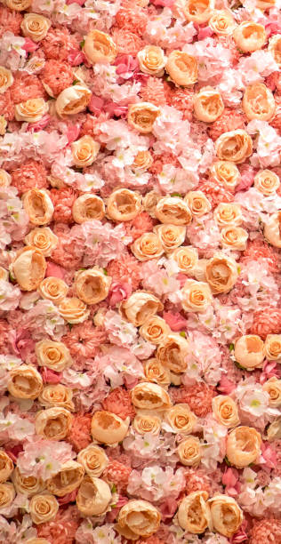 Arrangement of pink flowers on display on a wall