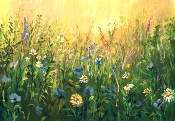 letnia łąka, malarstwo akwarelowe - daisy multi colored flower bed flower stock illustrations