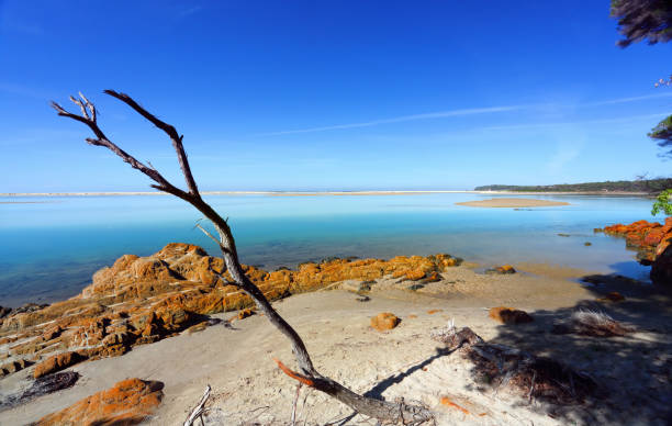 istock Mallacoota inlet Victoria coast 942145674