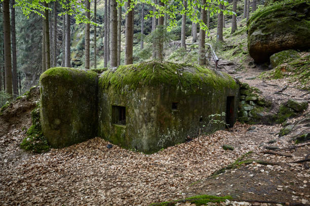 Bunker of World War II, Bunker in the woods