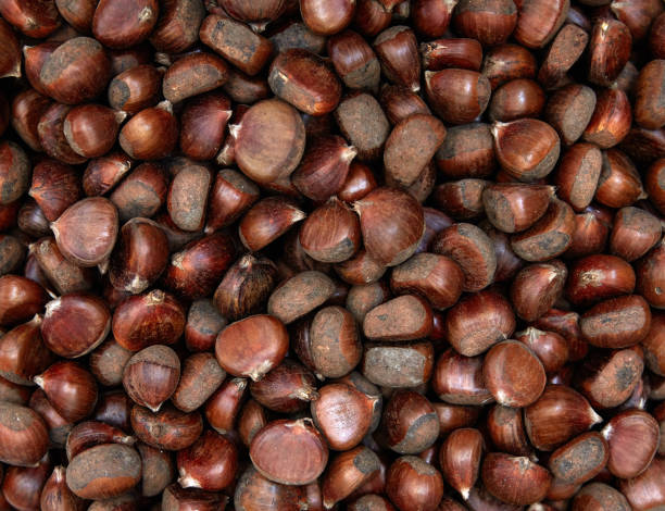 Group of edible chestnuts. Dark background.