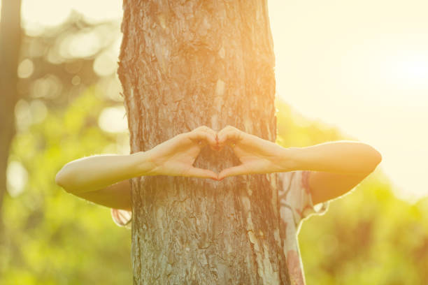 istock Girl holding a heart - shape symbol around the tree. 942150248