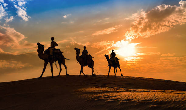istock Camel caravan in silhouette at sunset at Thar desert, Jaisalmer Rajasthan, India. 942151522