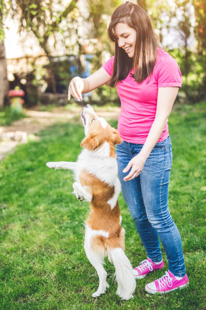 istock Young woman playing with her dog in backyard. 942151524