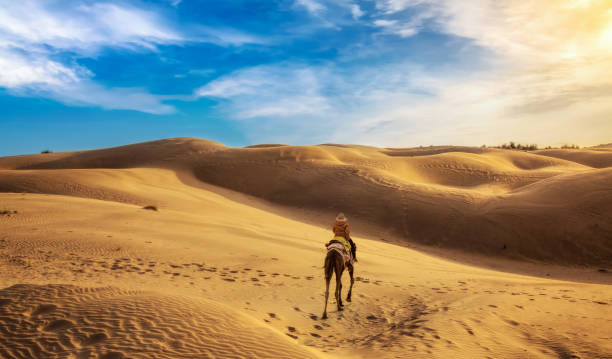 tourist enjoy camel desert safari ride at the thar desert jaisalmer, rajasthan at sunset - jaisalmer imagens e fotografias de stock