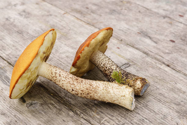 istock Raw mushrooms on rustic wooden table. 942161374