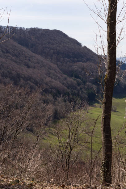 istock mountain landscape in south germany 942161662