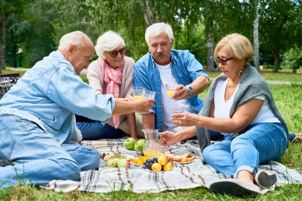 istock Senior People Enjoying Picnic on Grass 942161826
