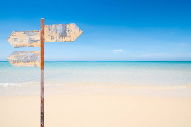 istock wooden signpost with copyspace on the beach 942163146