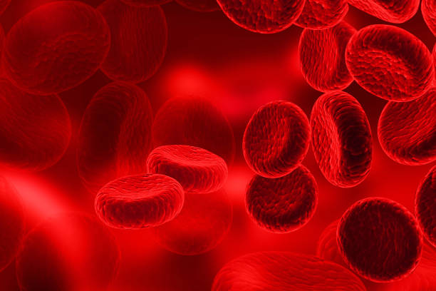 células vermelhas do sangue, fluxo contínuo de células de sangue humanas - bacterium biology flowing vascular - fotografias e filmes do acervo